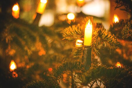 Decor holiday season