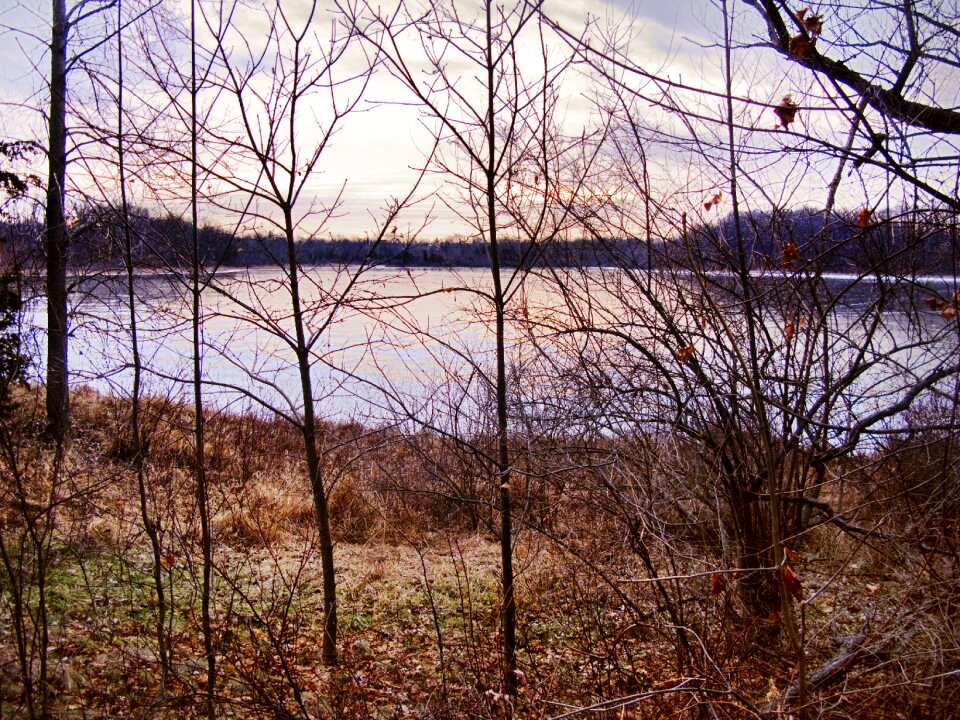 Forest park sunlight