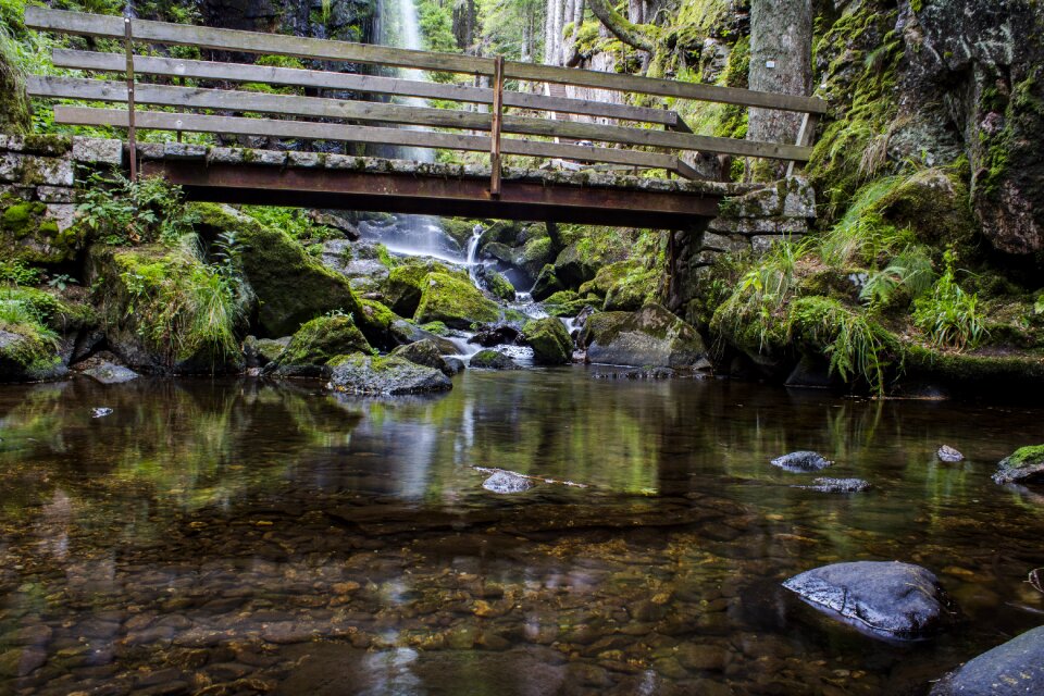 Waterfall wet moss