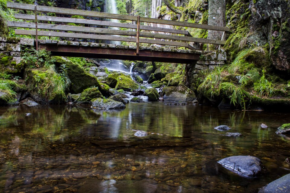 Waterfall wet moss photo