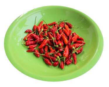 Food vegetable pepper