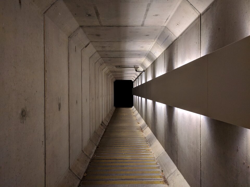 Darkness path brown path