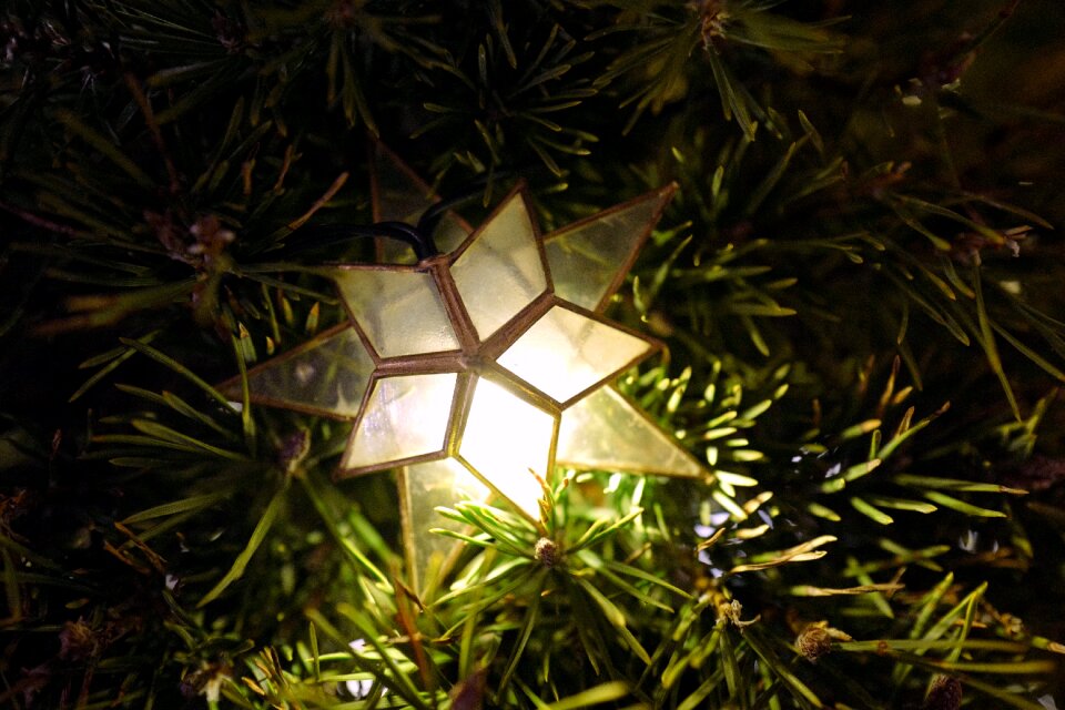 Decoration ornament black tree