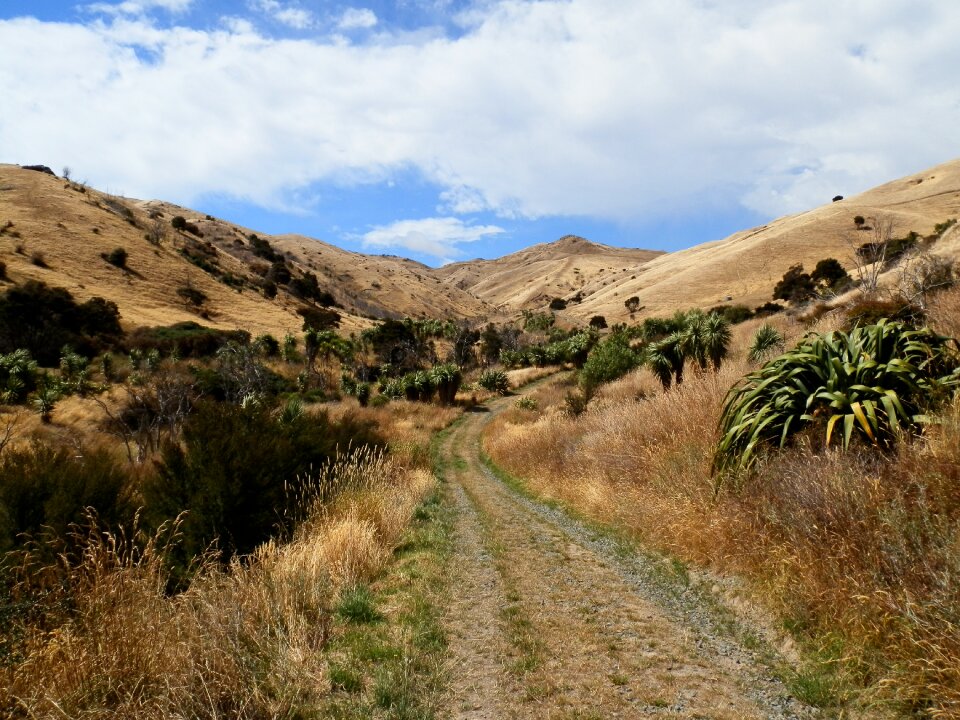 Landscape nature new zealand