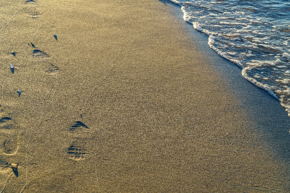 Brown sand footprint traces