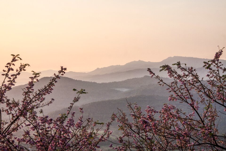 Sunrise summer season
