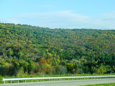 Mountains trees green road