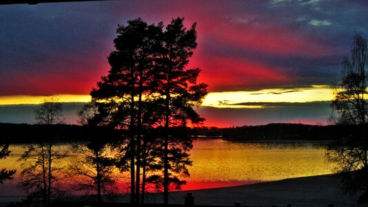 Sunset lake wood photo