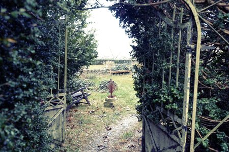 Trees plants gate photo