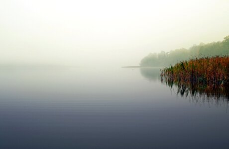Scrubs morning water surface