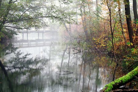 Green lake the fog photo