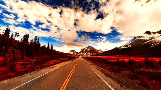 Road highway forest