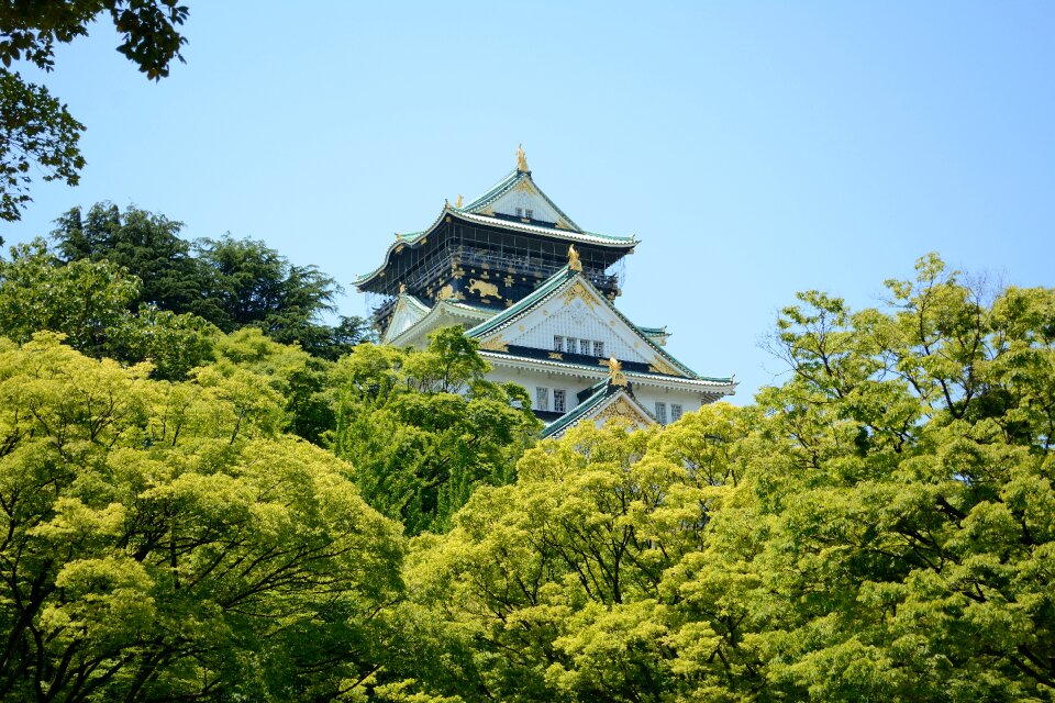 Japanese japan ancient