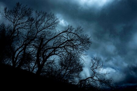 Clouds landscape branches