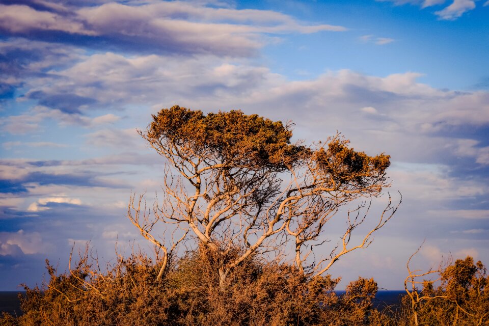 Landscape nature afternoon