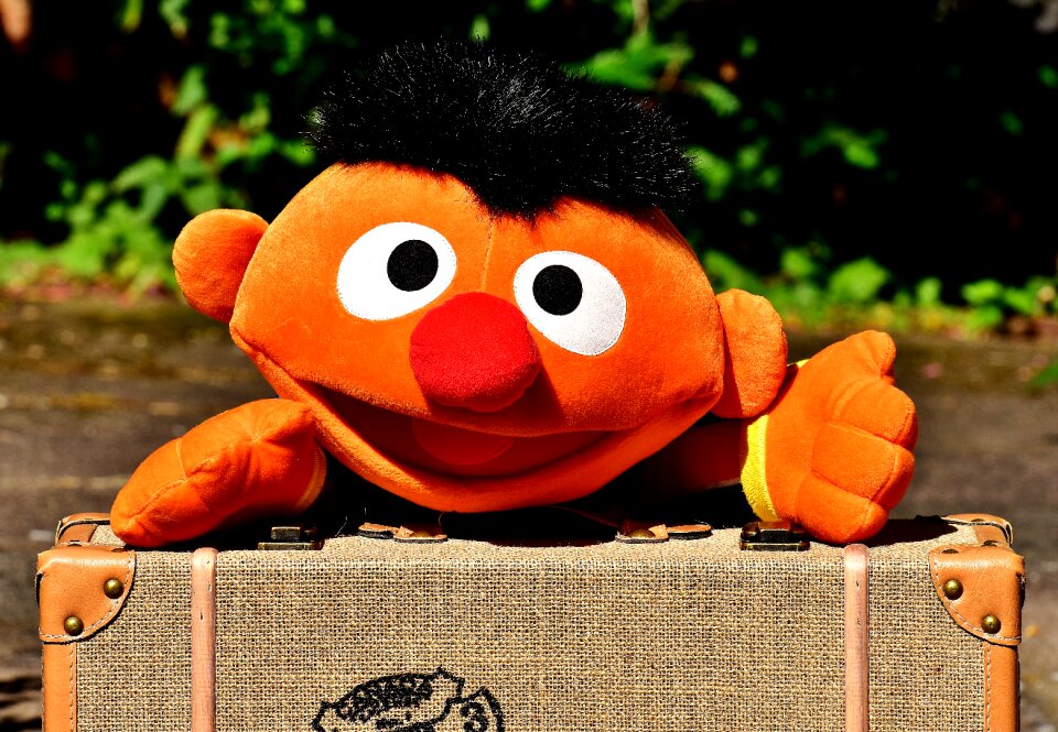 Luggage travel plush figure