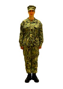 160803-N-RY232-001 - Navy Working Uniform (NWU) Type III