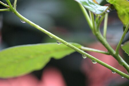 Water drops usct ggsipu