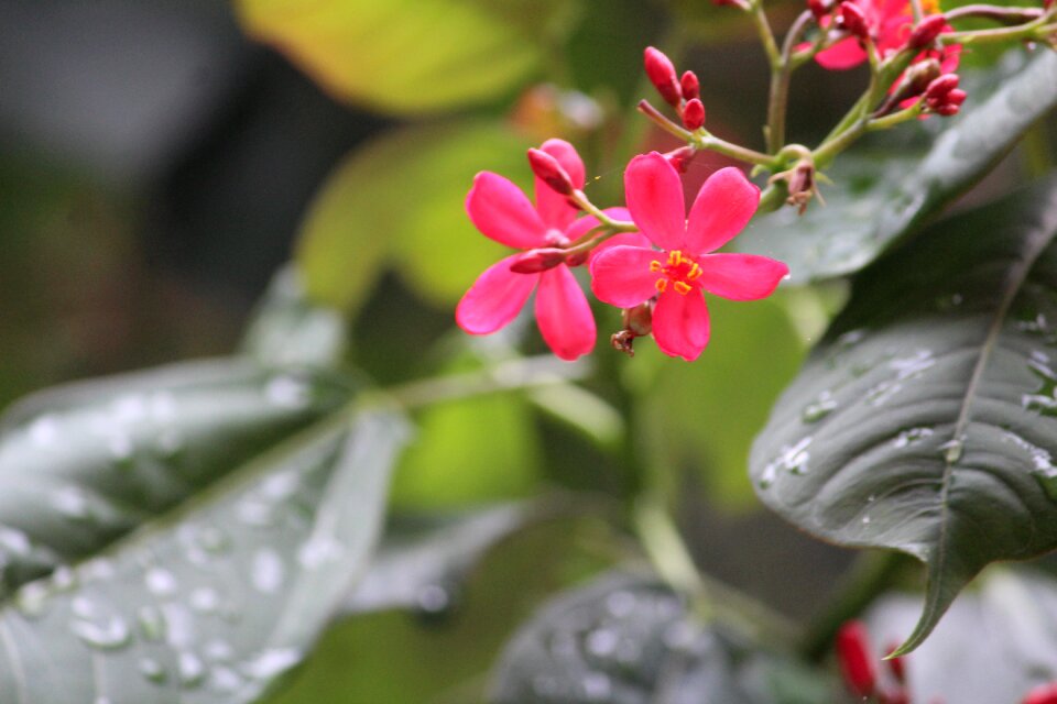 Rainy day rain usct