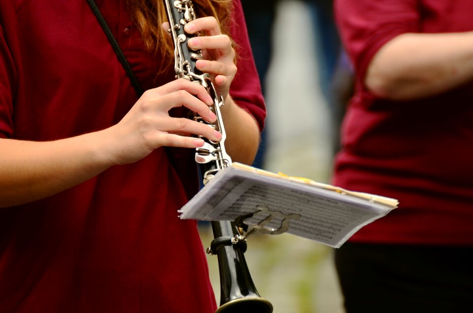 Musician music human