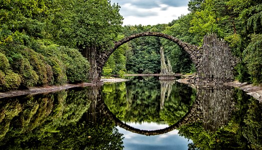 Pond mirroring nature