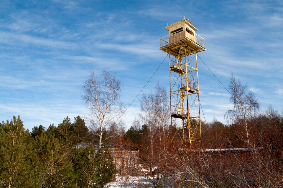 Environment tower tree