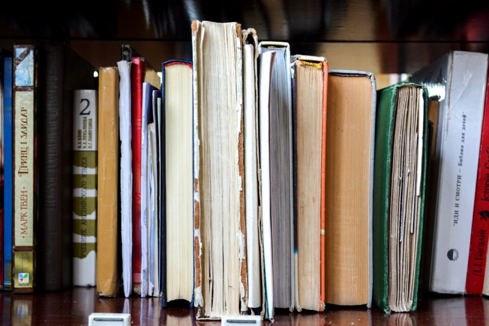 Library school education