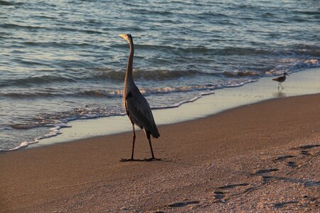 Water sea outdoor photo