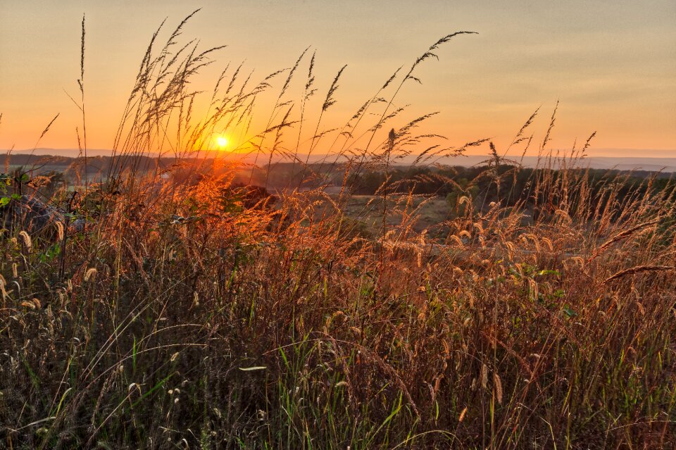 Dawn landscape dusk photo