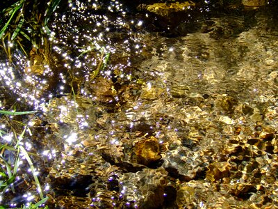 Water stream nature