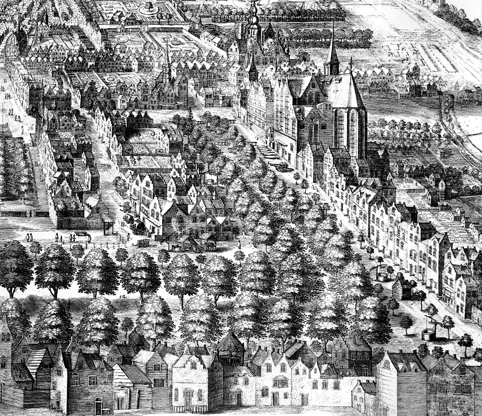 1614, Lange Voorhout, vogelvlucht, door Jan van Londerseel