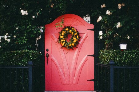 Wreath flowers plants photo