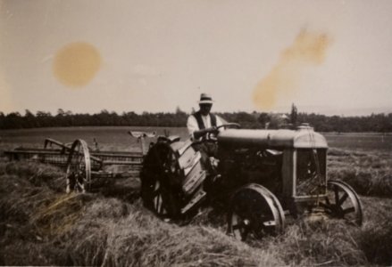 17 Traktoreinsatz um 1920