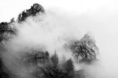 Utah black and white trees photo