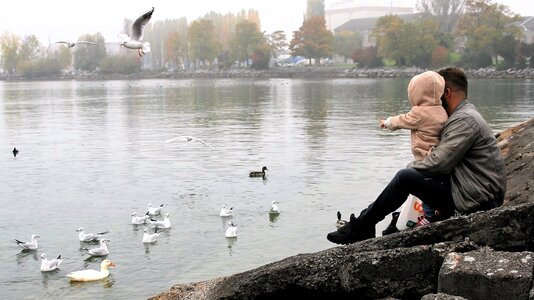 The hand lake the seagulls
