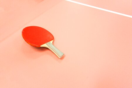 Table tennis sport