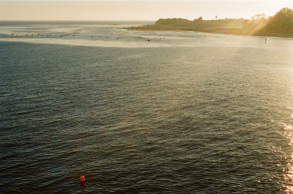 Surfing swimming water
