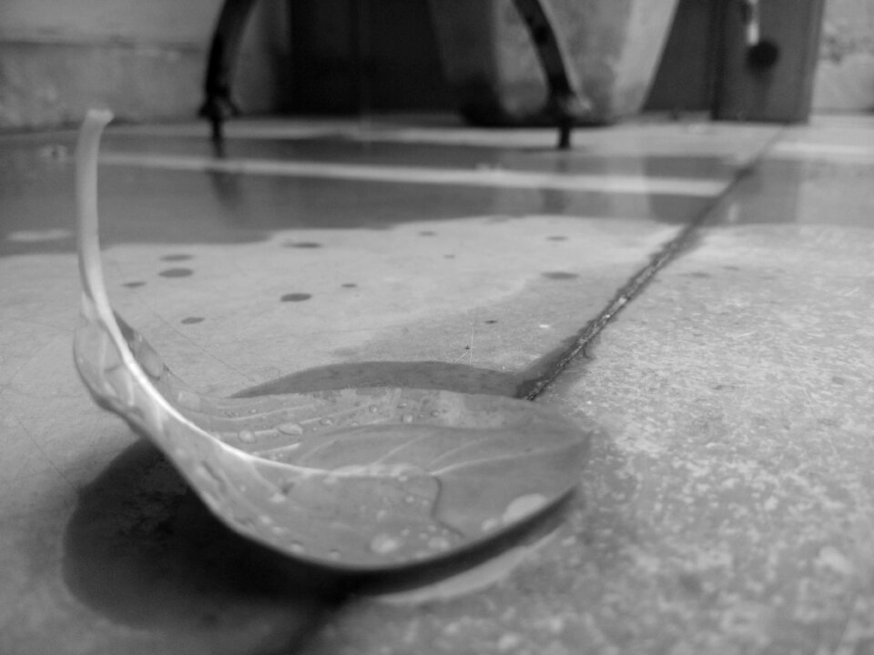 Black white rain gray rain
