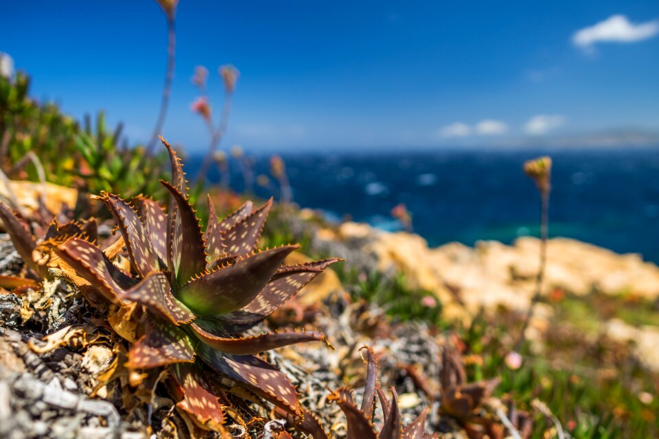 Travel corsica sardinia