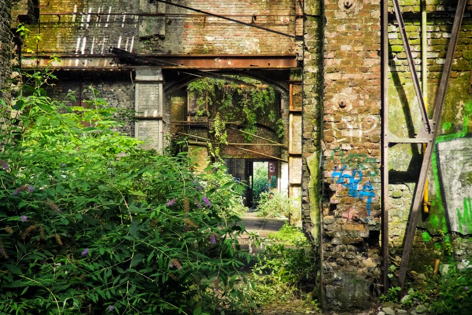 Pforphoto old decay