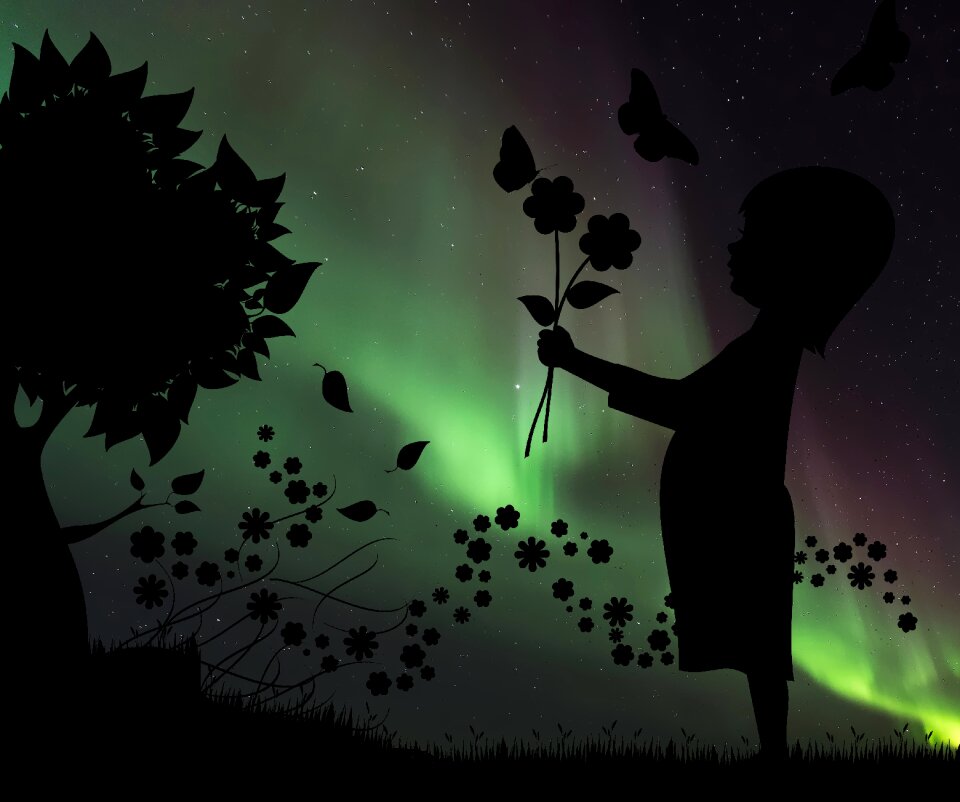 Child flower northern lights