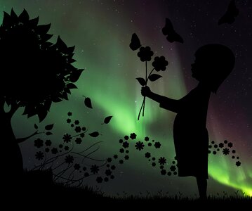 Child flower northern lights