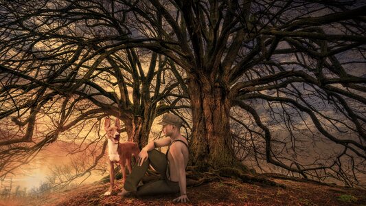 Tree human nature