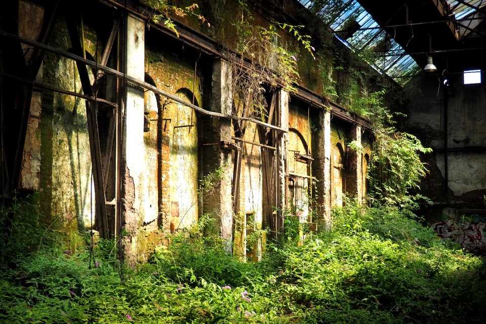 Pforphoto old decay
