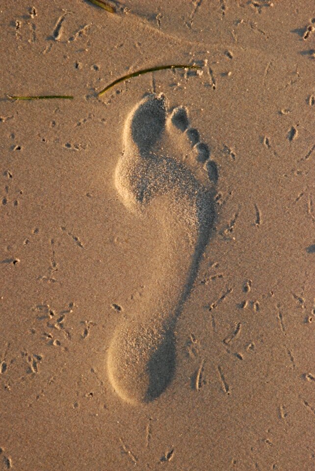 Coast step walk