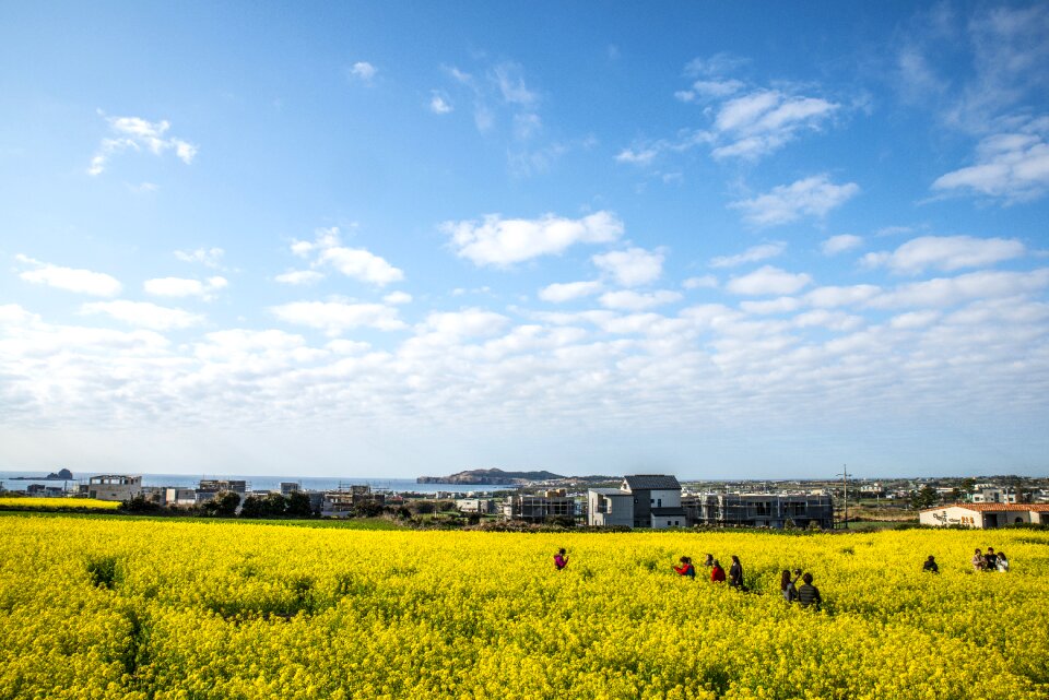 Panorama scenery outdoors