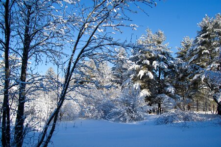 Frost cold blue