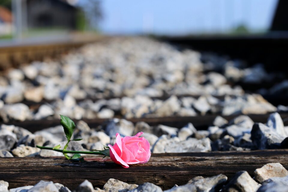 Condolence station nature