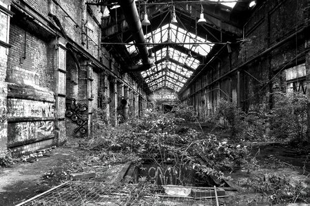 Pforphoto old decay