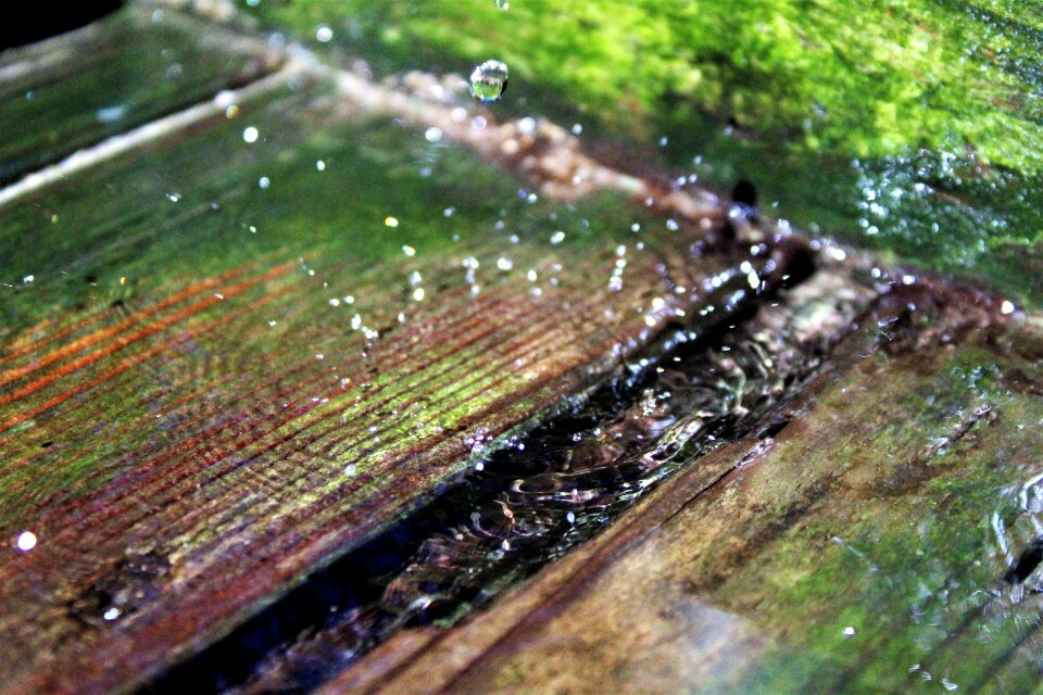 Nature water pump drip